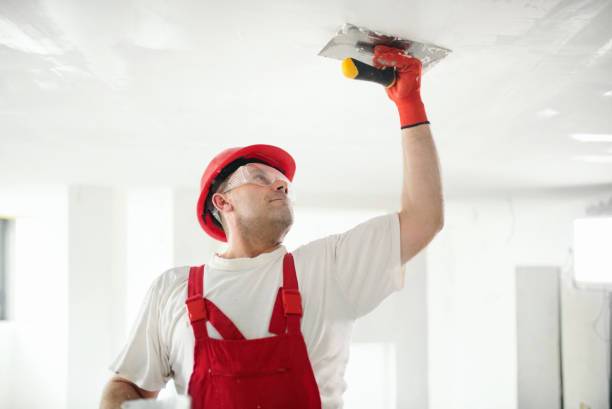 Best Drywall Finishing  in USA